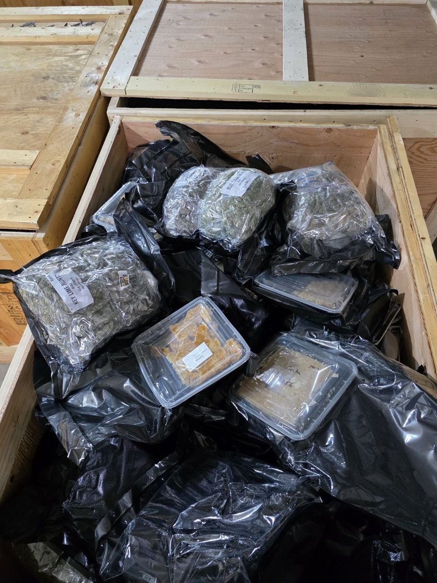 Smacking420's tweet image. This is one of the tp orders I had this week. 
Over 500 units landed 
30,000 dispos. 
Plus more products 

Stop playing. And tap in.
Whole truck filled 😈