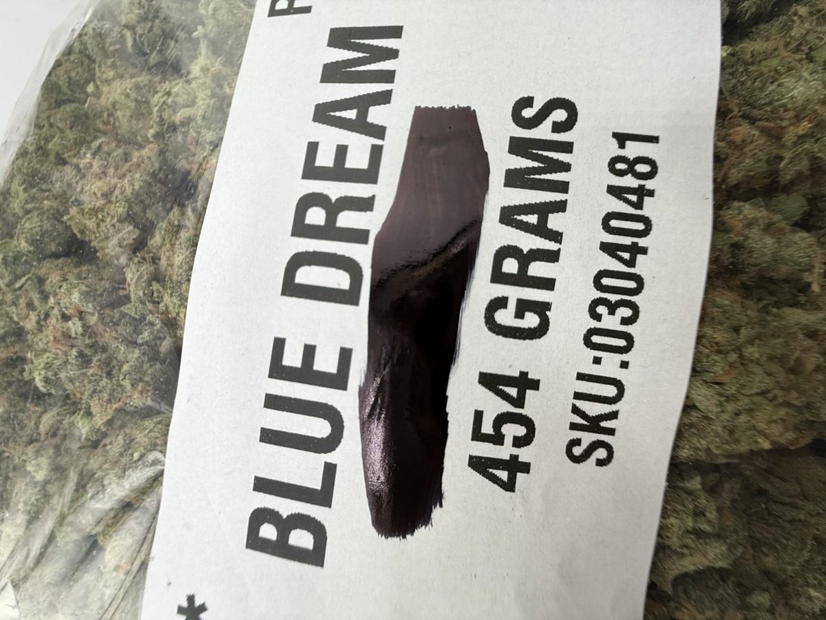 Smacking420's tweet image. Blue dream 
License indoor bigs ⛽️
Crazy Real deal blue dream nose 👃 

600