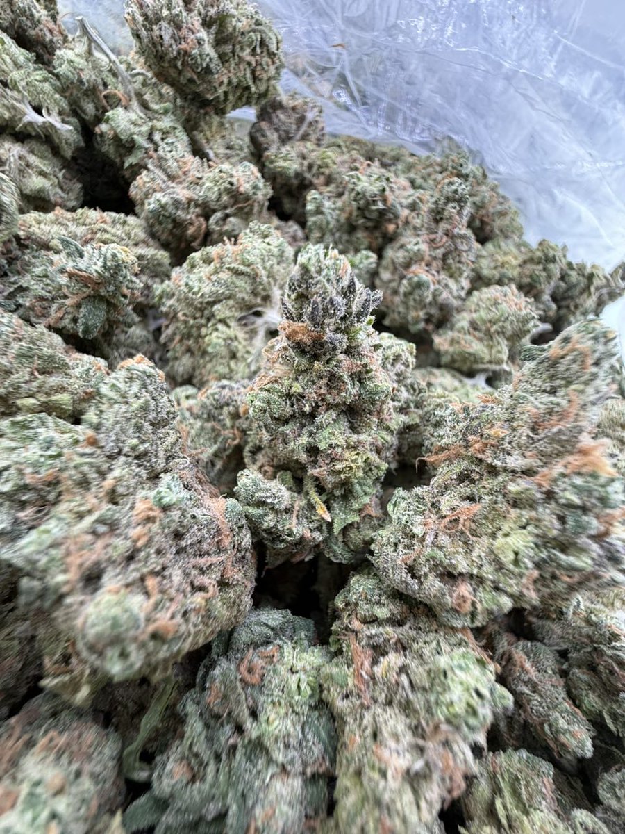 Smacking420's tweet image. Blue dream 
License indoor bigs ⛽️
Crazy Real deal blue dream nose 👃 

600