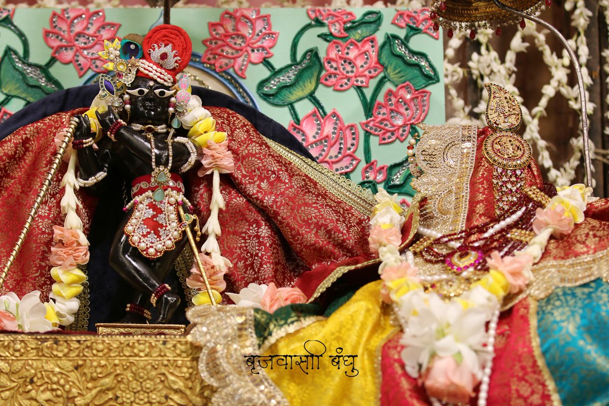 ☘🍁श्री राधारमण जयति 🍁☘
               📿 जय गौर 📿 

  🐚💦 श्री राधारमण देव जू  💦🐚
   🍯 श्री गोपाल भटट् जी सेवायत 🍯

 📷☀दिव्य औलाई  दर्शन☀📷
  📯📯📯💎🎄💎📯📯📯
 
⚜🌷 श्री राधारमणाय समर्पणम्🌷⚜