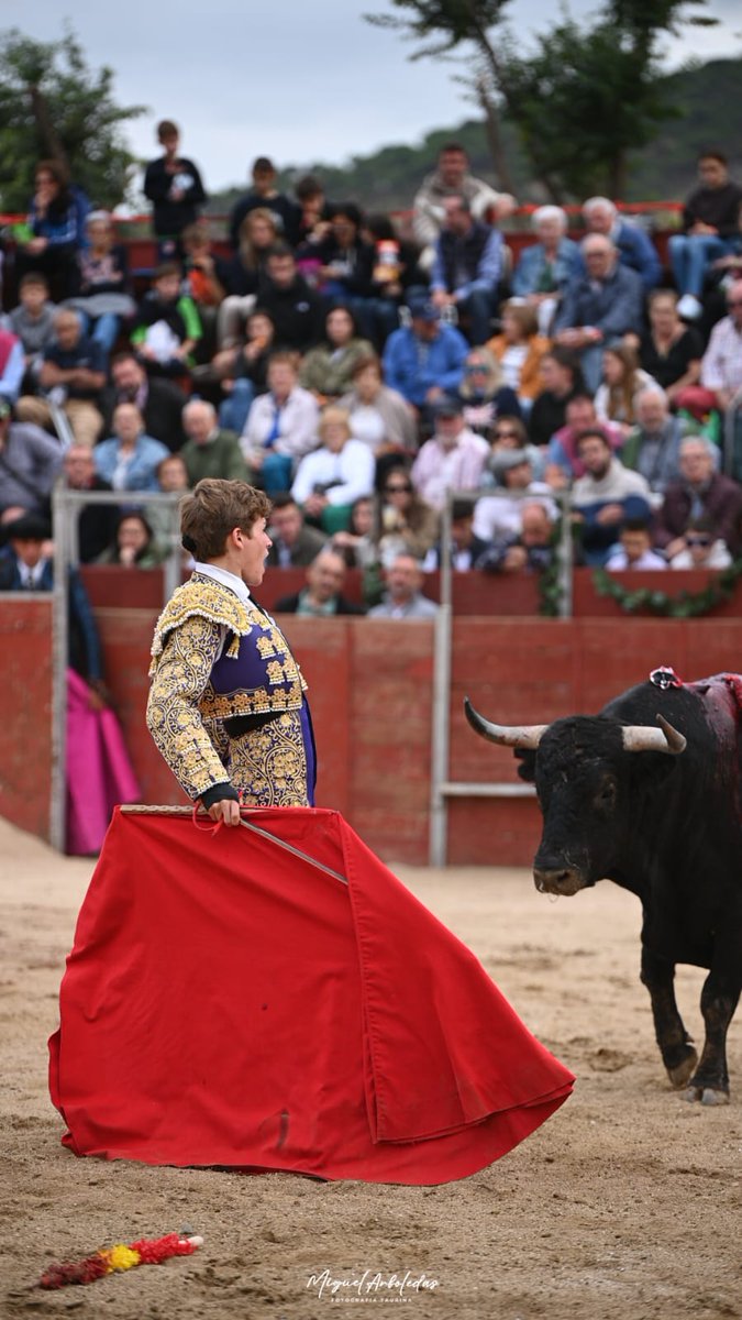 LoyjorSL's tweet photo. 📌 HOYO DE PINARES

🔵 3️⃣ Silencio para Álvaro Serrano que pierde por la espada la oreja de su oponente.

#DueloenHoyodePinares
#Tauromaquia #Cultura #Novilleros https://t.co/qt4uemEwPF
