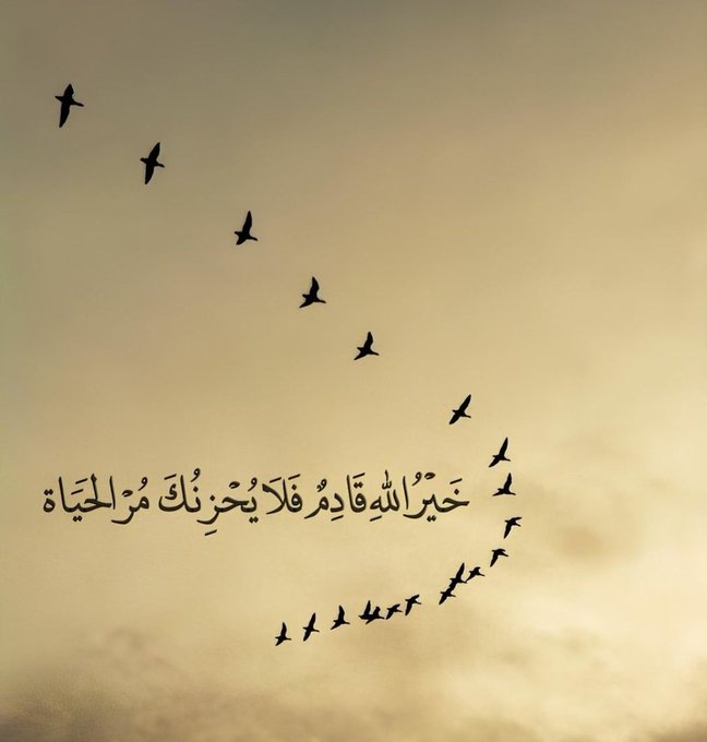 مهما تأخرت وخسرت وتعثرت في حياتك، تأكد أنك لست بفاشل ولا أقل من غيرك، الفشل هو أن تستسلم ليأسك،أن تتأثر بكلام من حولك، هم لا يرون ما تراه أنت في ذاتك، هم لا يعلمون معركتك أو معاناتك،تبصّر في أعماقك واعرف مميزاتك وقدراتك، ما دمت تحاول وتقاوم ستصل بالنهاية لوجهتك،والله لن يخذلك !