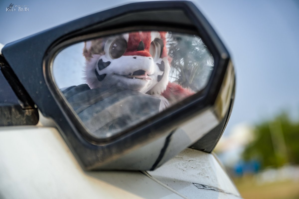 (Makes confused Dutch Angel Dragon calls

📷<a href="/KulyWolf/">阿龍 & 酷利クーリ🔜2025 Infurnity 獸無限</a> 

#fursuit365_270