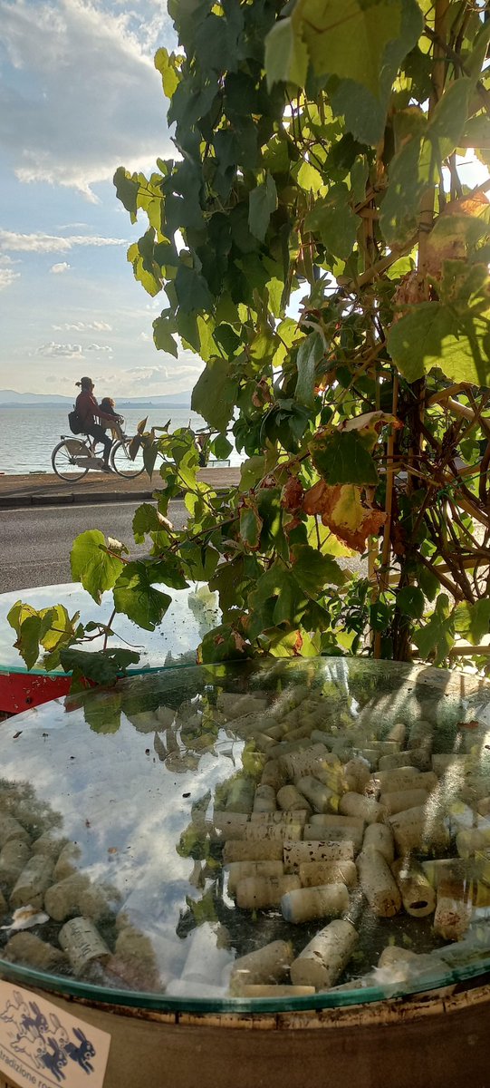 SabrinadP1's tweet photo. Variazioni cromatiche
e luminose vista Lago.
#Trasimeno #Umbria
#QuantaBellezza ๐๐ฆ https://t.co/c08LtirtPV