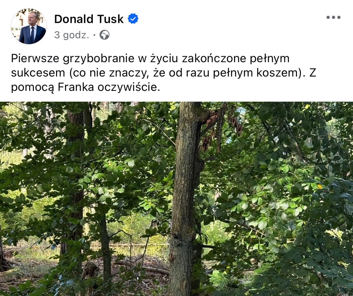 Timing premiera to mistrzostwo świata w hipokryzji politycznej. Dziś jest 28 września 2025, a Tusk wrzuca to akurat wtedy, gdy Polska tonie w jesiennych problemach: inflacja dalej gryzie (CPI na poziomie 4,2% wg GUS, a ceny żywności skoczyły o 6% rok do roku)
O NFZ nie wspominam.