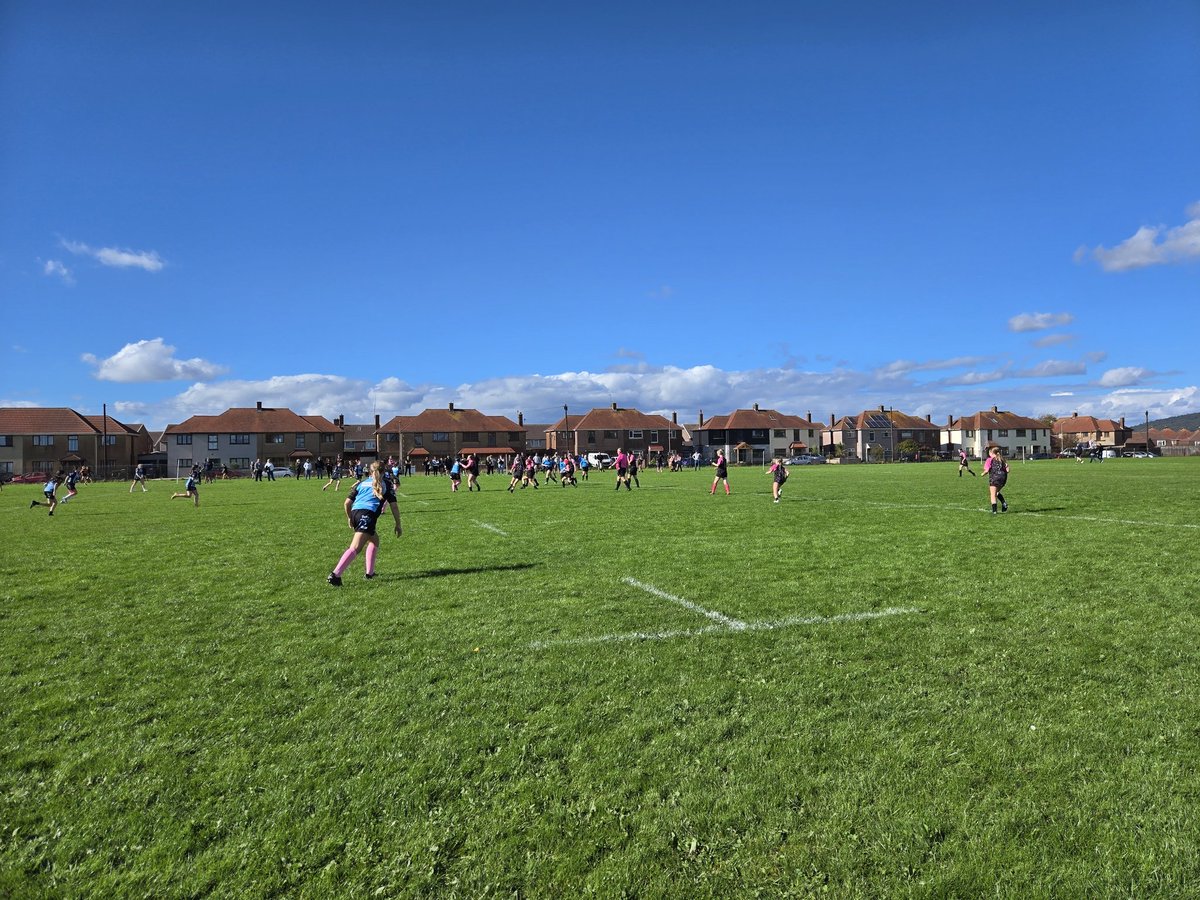 Sarah Lewis tweet media