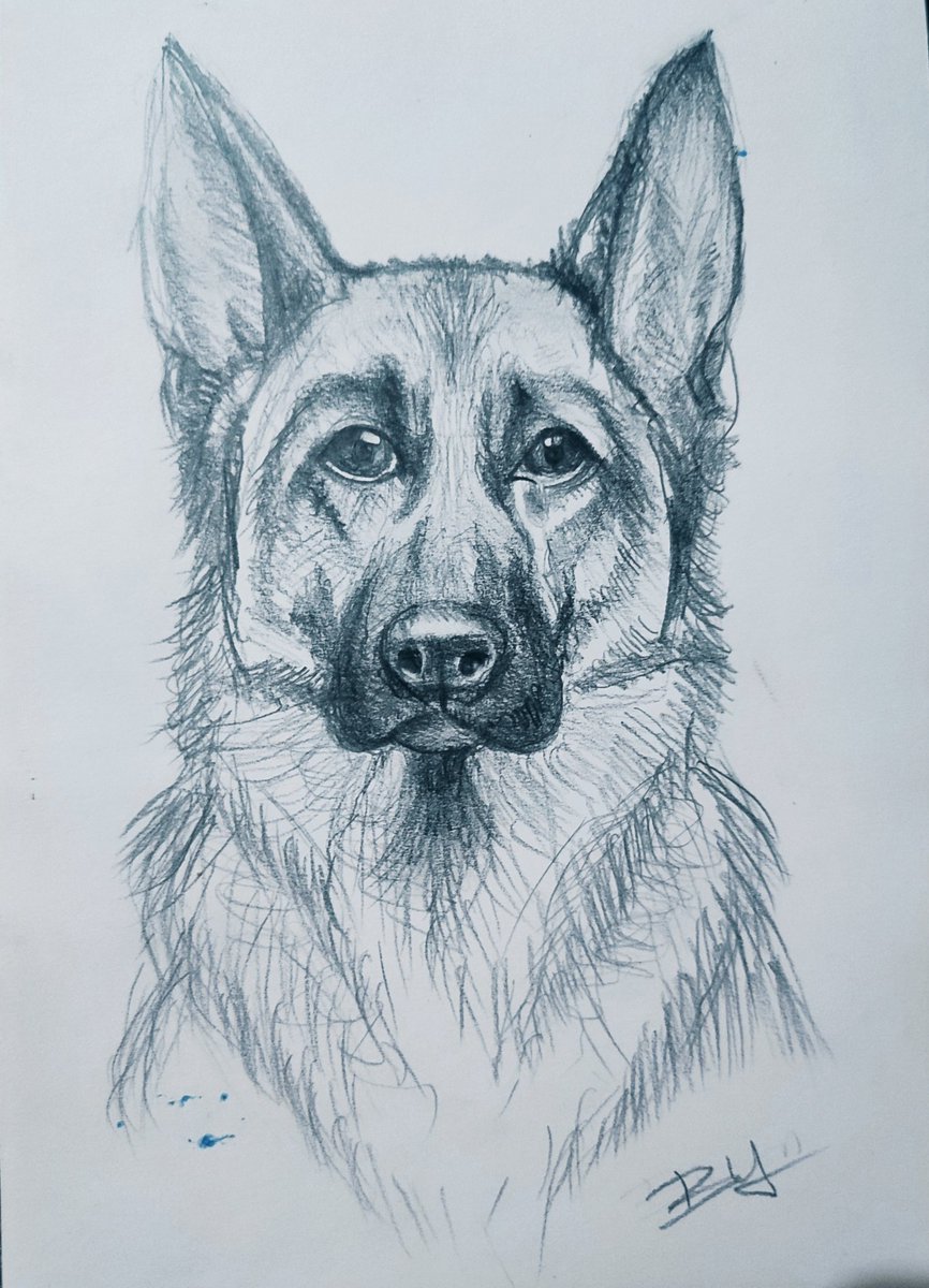 "En kıymetli bağ, yanında olmayı vazife sayanla değil mutluluk bilenledir.”

(Bu akşam yapmış olduğum bir çizim☺️)