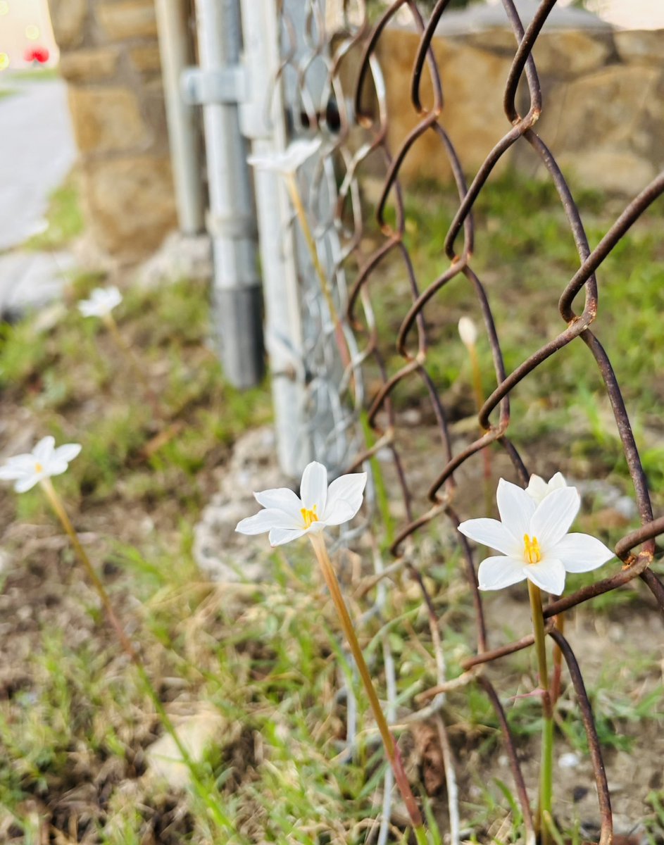 SpaceINOut1127 (@sout1127) on Twitter photo 