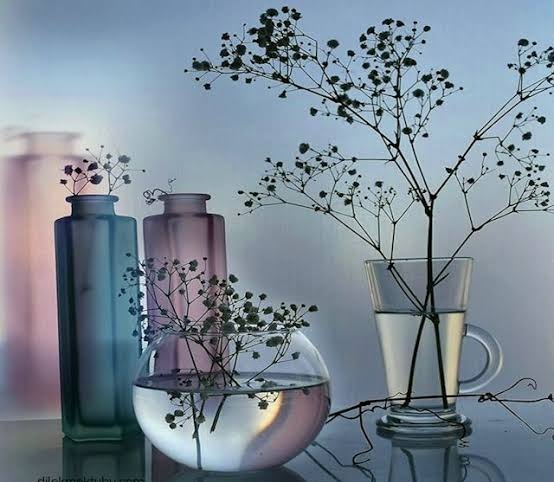 Mal sahibi mülk sahibi 
Hani bunun ilk sahibi.

Çok severim bu sözü, dünya mesguliyetleriyle ömrü tüketiyoruz.
#iyiaksamlar