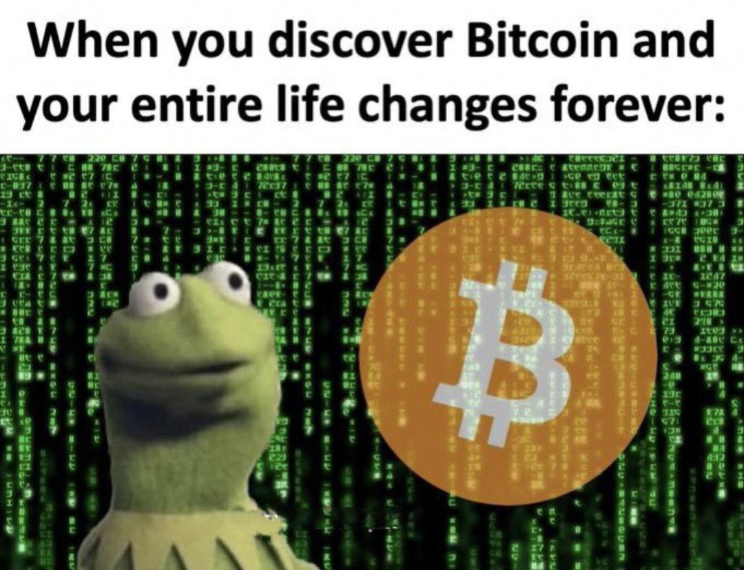 True Bitcoin Story
