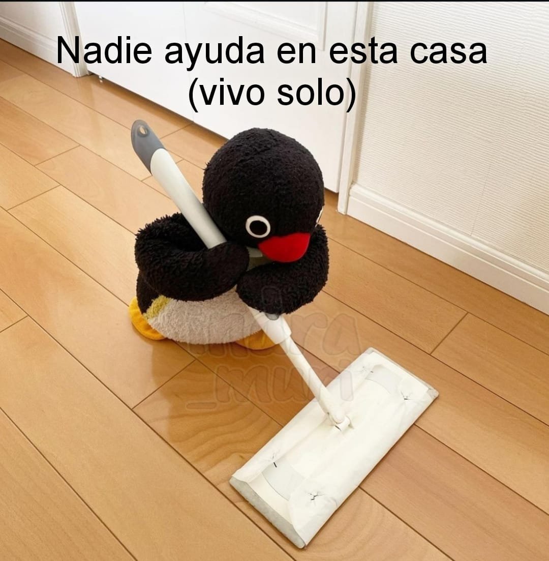 Animalesaprieto's tweet image. 