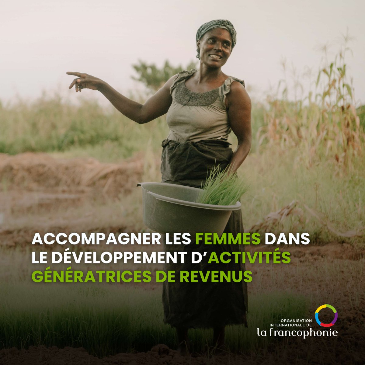 Au #Togo, l’association Appui aux Initiatives Locales porte le projet ÉcoFemmes, qui encourage l’agriculture bio et la promotion de l’énergie verte.

Sélectionné dans le cadre de la 6ᵉ édition du Fonds #LaFrancophonieAvecElles de l’OIF, ce projet renforce l’autonomie économique