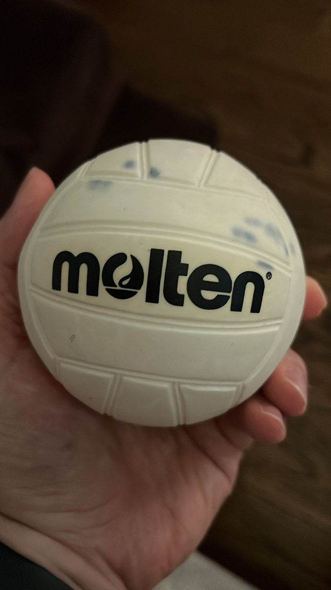 Midhat Bekim Mullai (@midhatbm) on Twitter photo We have Wilson at home. We have Wilson at home.