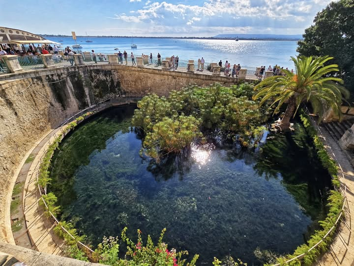ItalyGroupTours's tweet image. Aretusa Fountain, myth flows into marble and sea mist. In Ortigia, Syracuse, even the water tells stories older than time.

#AnemosTours #SyracuseSecrets #OrtigiaWhispers