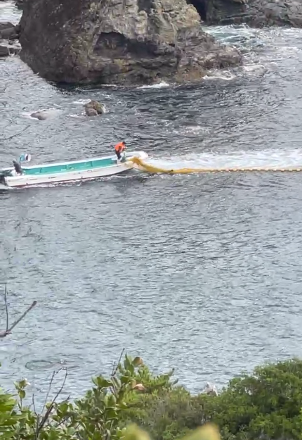lyingBOTShm0c's tweet photo. #TaijiCoveJAPAN🔴: The #DolphinHunters have been busy again for HOURS, chasing a split pod of #BottlenoseDolphins🐬🐬 First group are being netted off here in the infamous #Cove, whilst they're still busy with the second group. Watch LIVE 🇯🇵https://t.co/U24R6aCfDY🐬 https://t.co/o75fOwmees