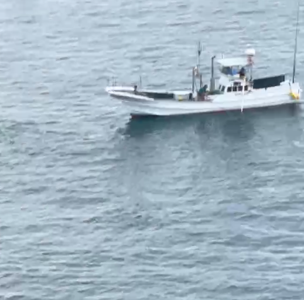 lyingBOTShm0c's tweet photo. #TaijiCoveJAPAN🔴: The #DolphinHunters have been busy again for HOURS, chasing a split pod of #BottlenoseDolphins🐬🐬 First group are being netted off here in the infamous #Cove, whilst they're still busy with the second group. Watch LIVE 🇯🇵https://t.co/U24R6aCfDY🐬 https://t.co/o75fOwmees