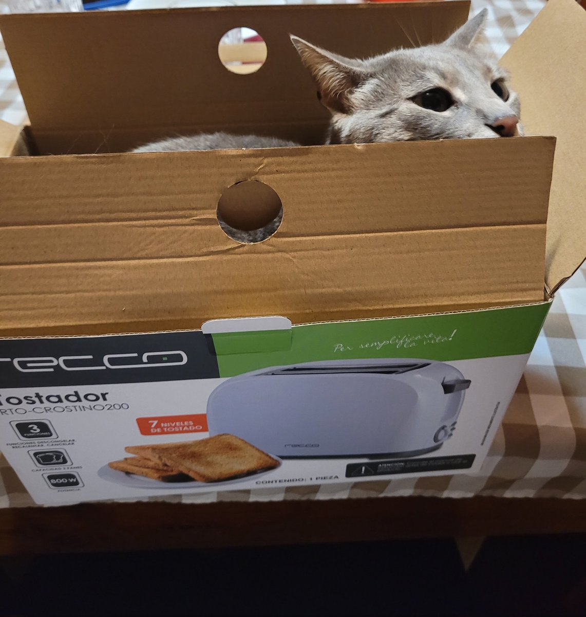 aleastortej's tweet photo. @Leonardoetc @GabrielBoric Eso no es nada!! Yo compré un tostador, y venía un gato!! Este país ya no da para más presidente!! https://t.co/ma2pAaEm59