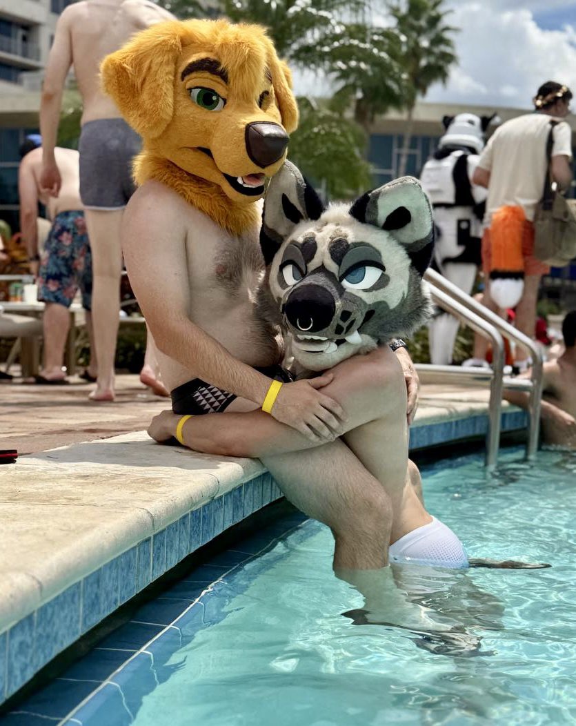 Chase 🔜 FWA tweet media