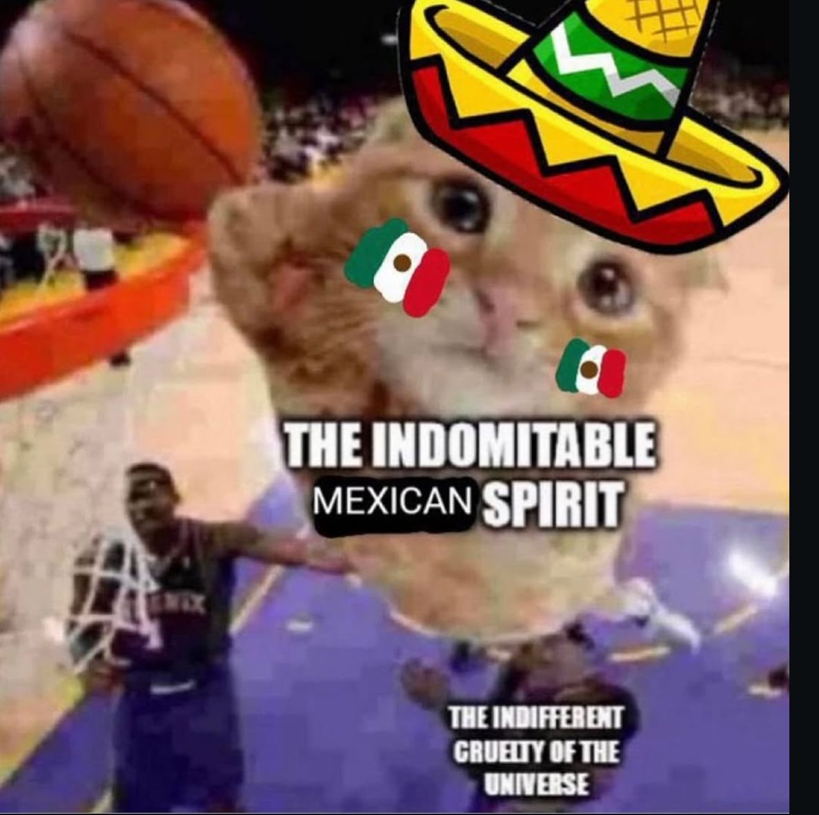 Chio (@cyborgkale) on Twitter photo 