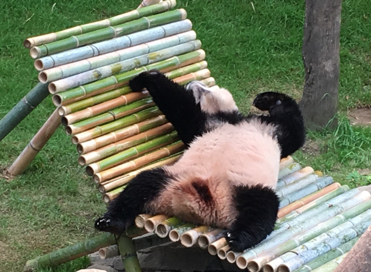 출근시러어어어