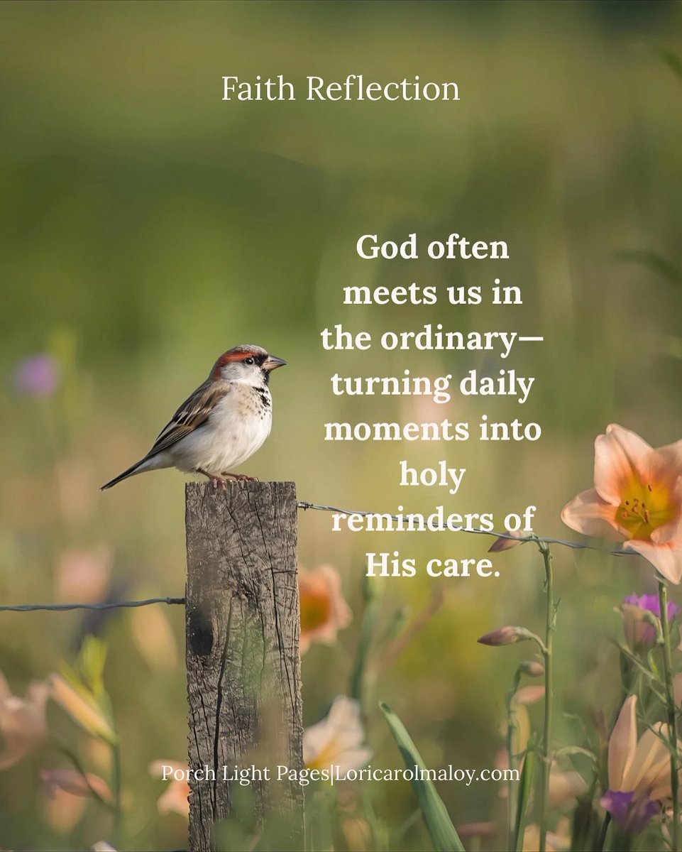 Loricarolmaloy's tweet image. Jesus said, “Look at the birds… consider the lilies.”

Joy often hides in the ordinary—daily reminders that God’s care is always near.

#PorchLightPages #FaithReflection #FindingJoy #BeautyInTheOrdinary #HopeInTheOrdinary