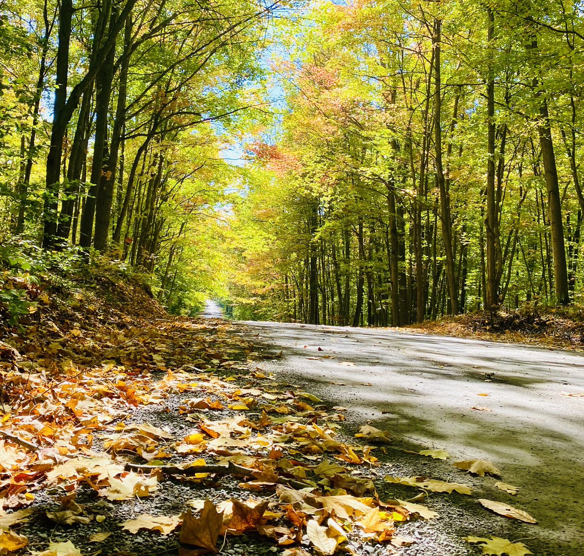 Riding the #backroads today I would be remiss if I didn’t think about <a href="/drdagly/">Darren Markland</a>.bsky.social.
All of your posts have landed with me one way or another,
So today I ride with and for you. We are all Darren Markland out here on the perimeter. #edmonton Bang a gong!