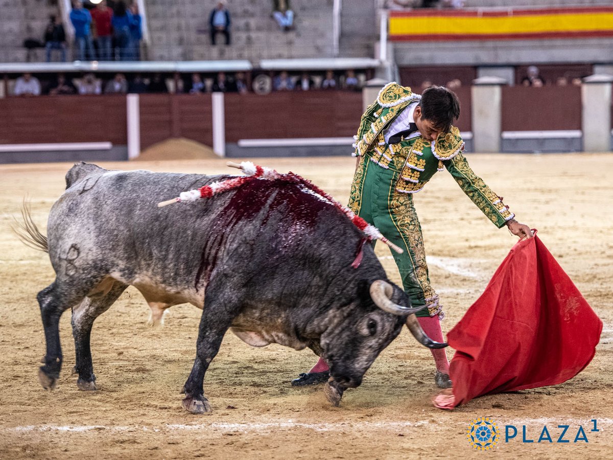 Grego_Garrido's tweet photo. Que tarde se ha marcado este torero hoy en Madrid, conociendo los terrenos y acoplandose a las condiciones de cada toro, marcando los tiempos, lidiando y planteando cada faena de forma perfecta, muy bien con los aceros y ganándose una oreja al conjunto de una tarde impecable. https://t.co/fHgM1ALHwm