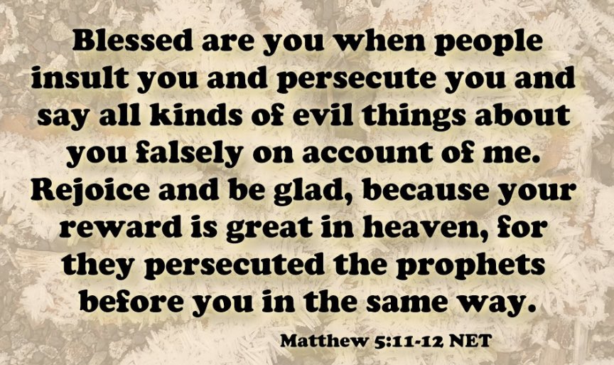 Casey Dye tweet media