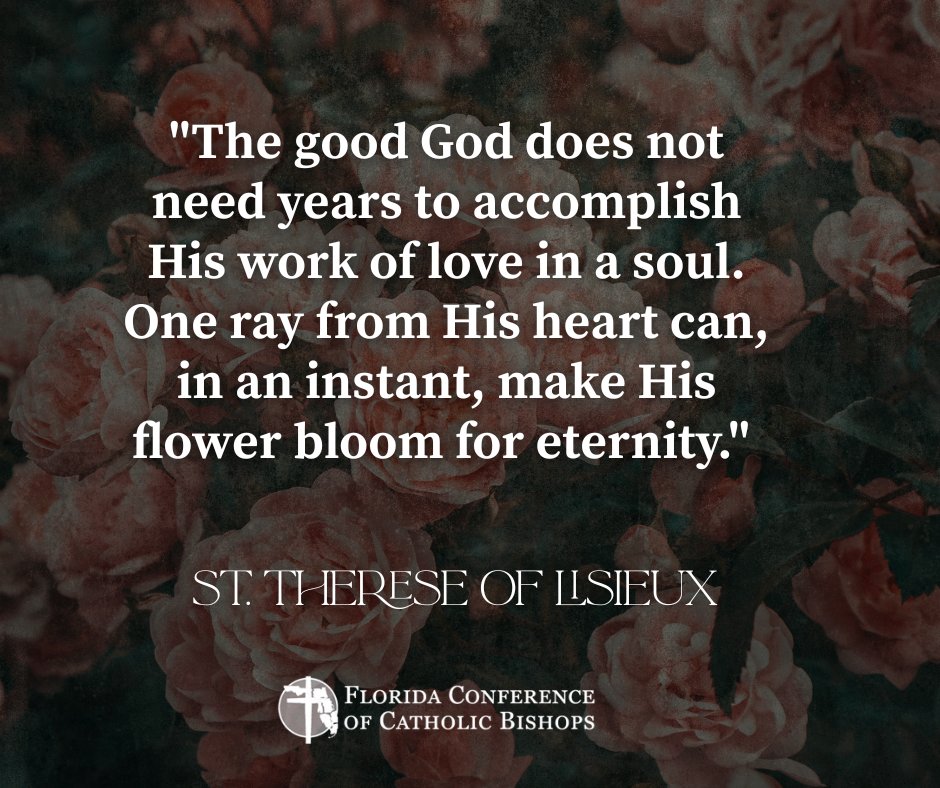 St. Therese of Liseux, "the little flower," pray for us!

"The good God does not need years to accomplish His work of love in a soul. One ray from His heart can, in an instant, make His flower bloom for eternity." - St. Therese of Lisieux