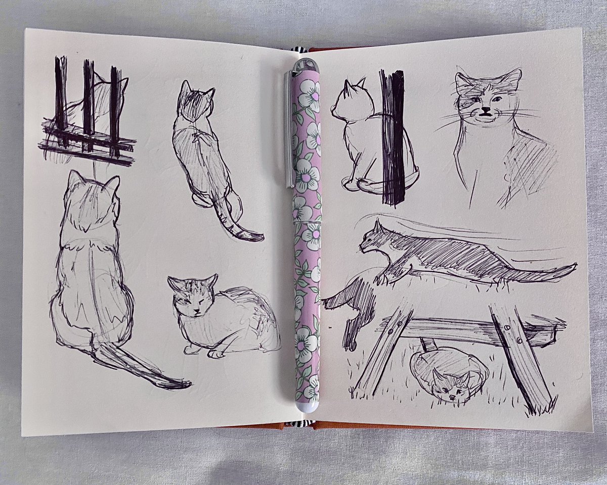 artbyamy_oc's tweet image. Drawing my cats from life 🐈 
#lifedrawing #catstudy #sketchbook #art