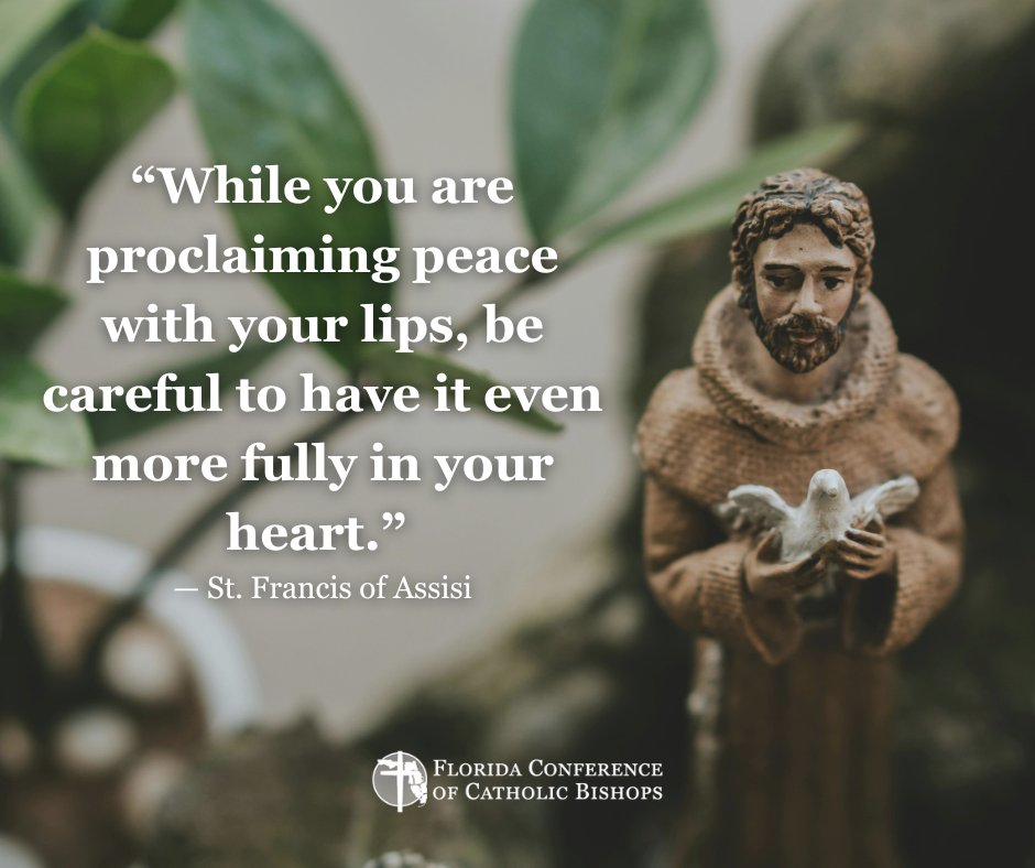 St. Francis of Assisi, pray for us!

"While you are proclaiming peace with your lips, be careful to have it even more fully in your heart." - St. Francis of Assisi