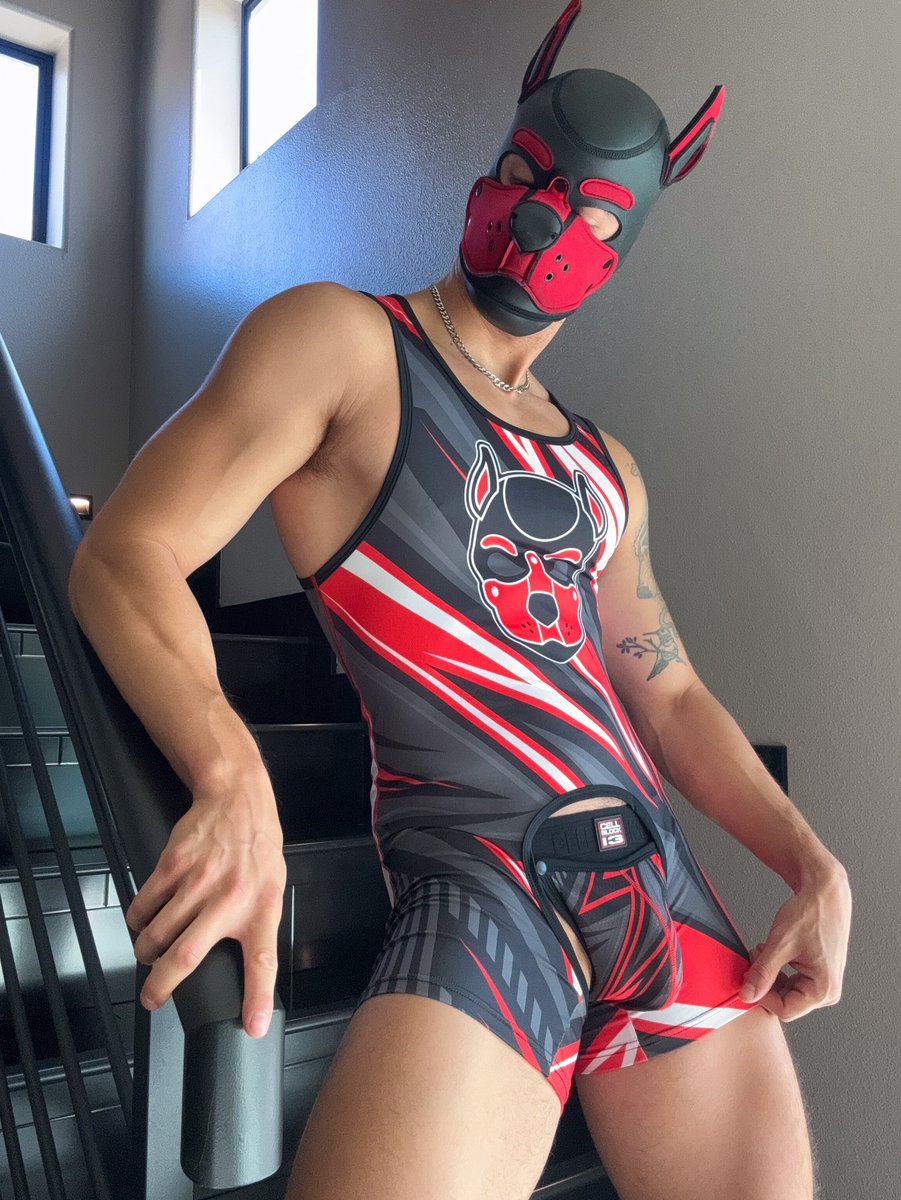 zanderwoodz's tweet photo. Let’s Wrestle 🤼‍♂️ https://t.co/161G0taEUI