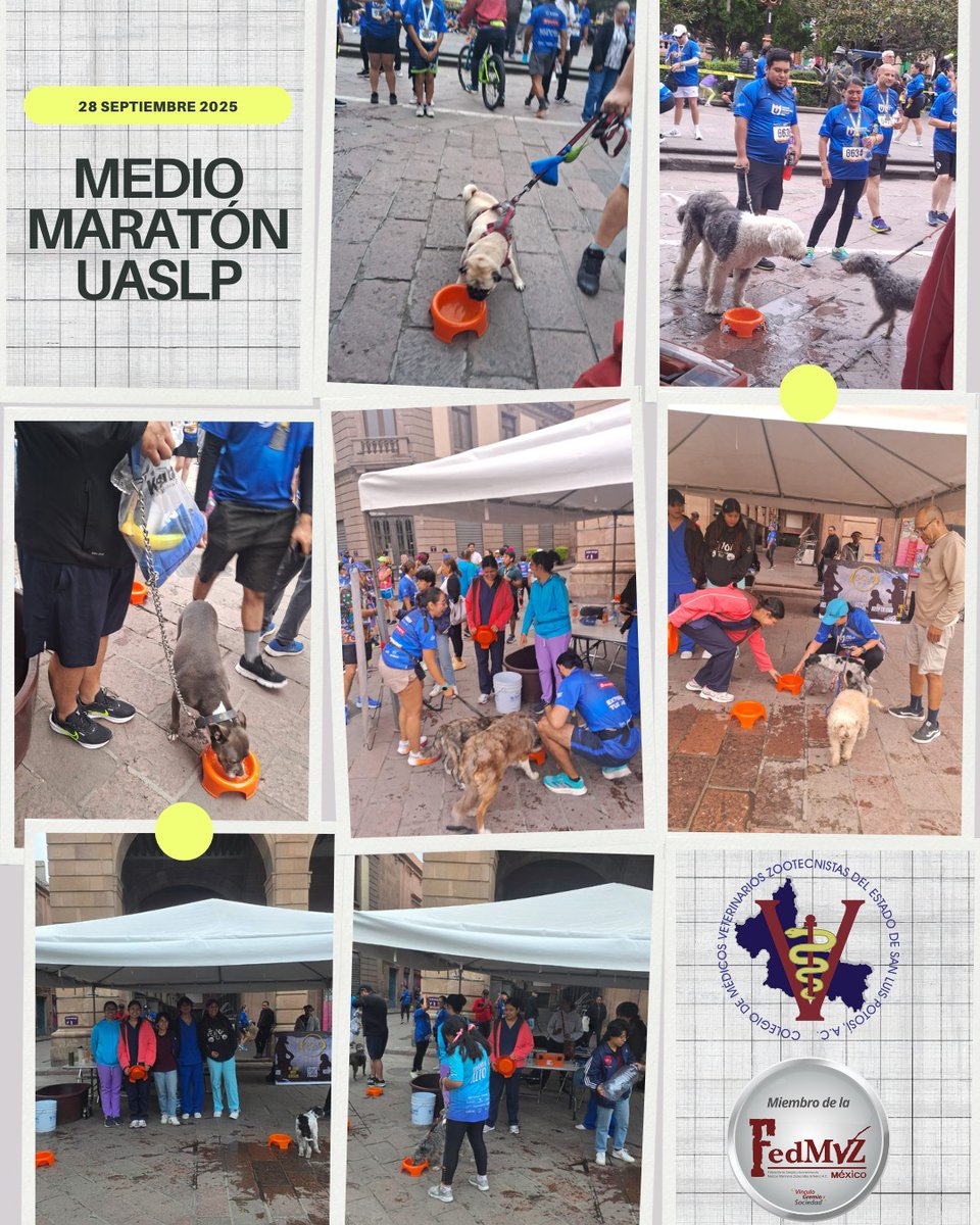 cmvzslp's tweet photo. https://t.co/0qg2iWtpua