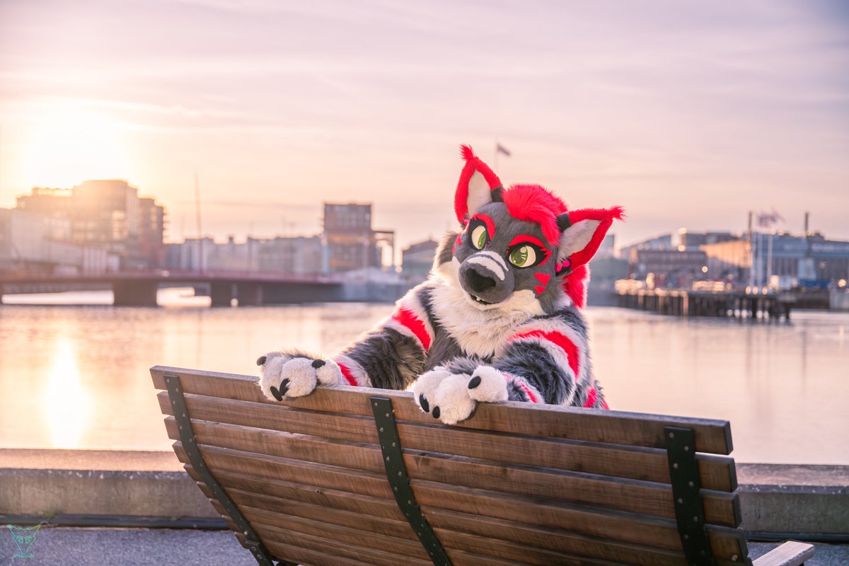 SkygeJager/Cassius tweet media