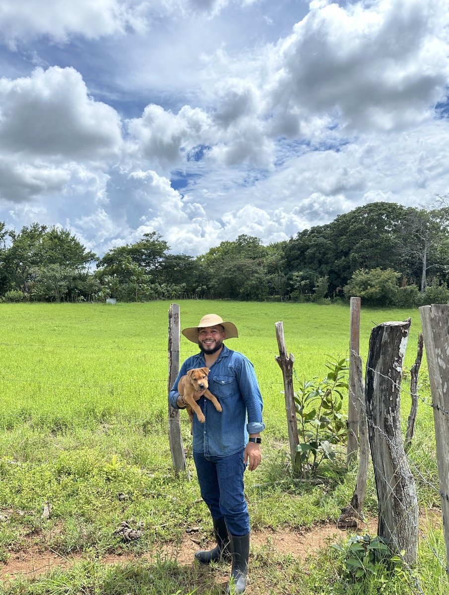 Alvin Rubén🚀 tweet media