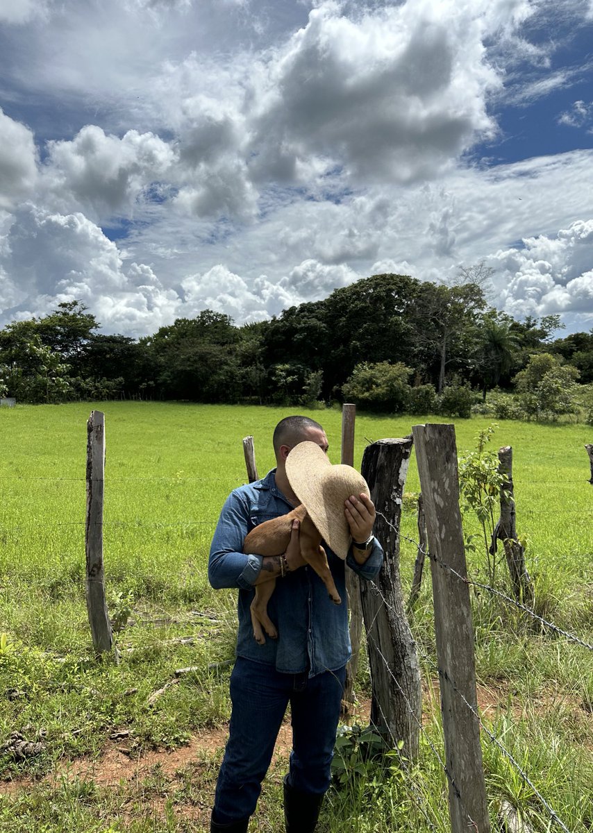 Alvin Rubén🚀 tweet media