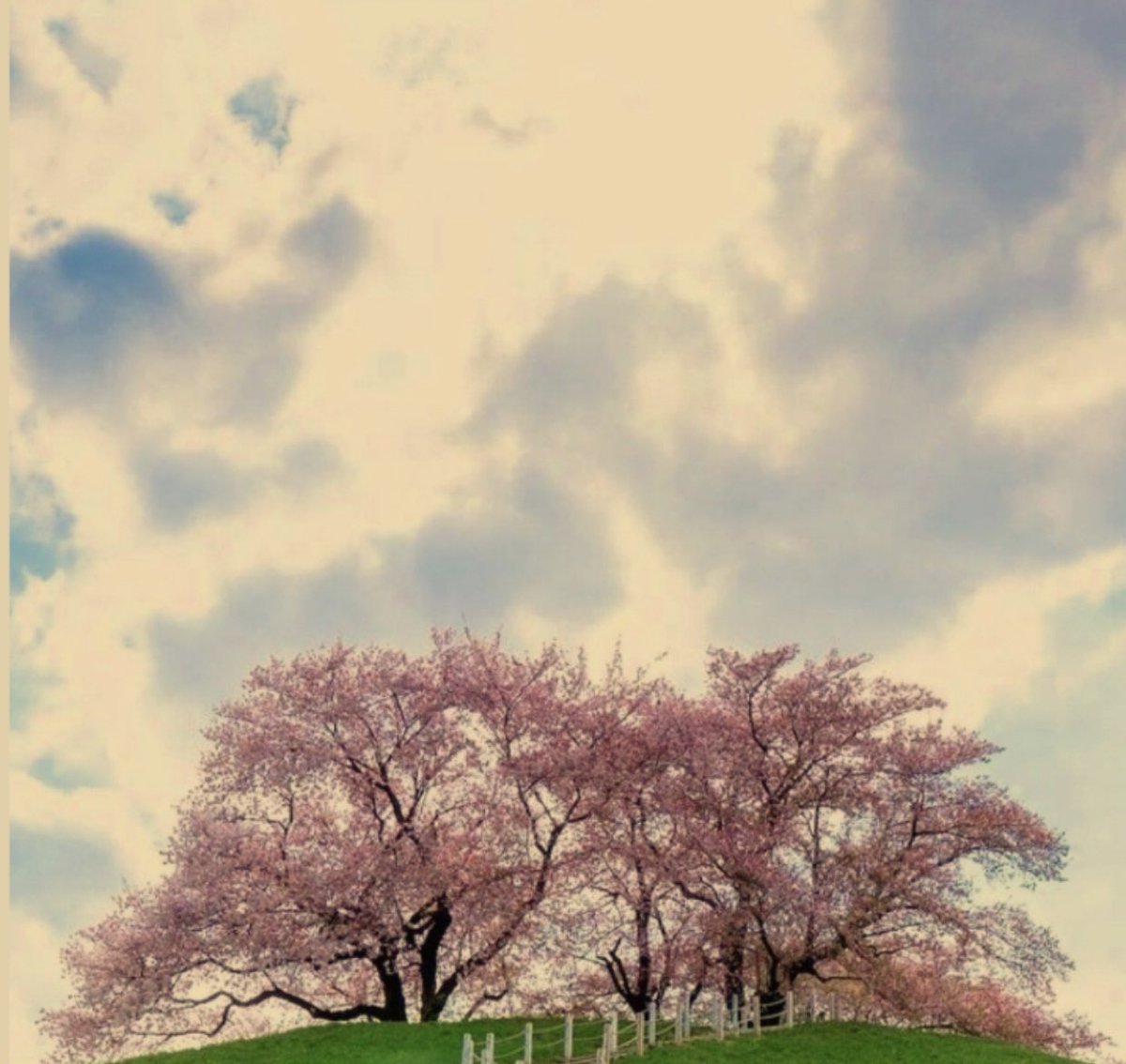 اكتسب علاقات بنّاءة تشعرك بالرضا 
قم بإدارة ضغوط العمل بالتفويض والتأجيل والاعتذار
#أسامه_الجامع 
📌كلماتك مرآة لثقتك
فإن أرسلتها وحذفتها فقد أزلت الثقه قبل الحروف
📌لا تجعل التردد يفضح ضعفك
ما دام قلبك مؤمنًا بها فدعها وكن واثق من نفسك 
📌لتصل تغير والا أبقى في حزنك
#عالم_يشبهك