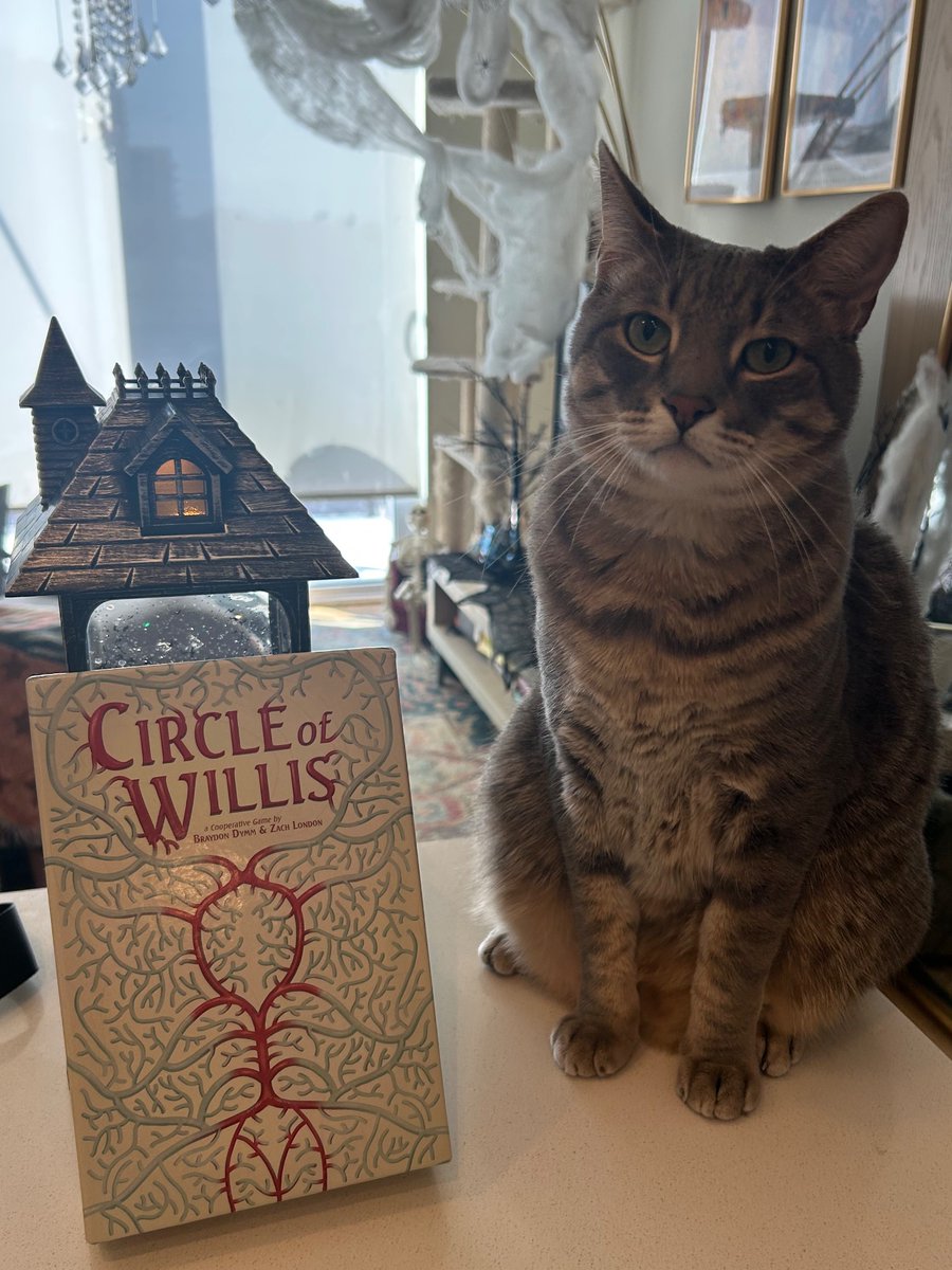 MarcusNMilani's tweet photo. He’s looking forward to stealing the game pieces. Thanks to @BraydonDymm @zach_london for our new favorite board game! https://t.co/Hm7lIItAEA