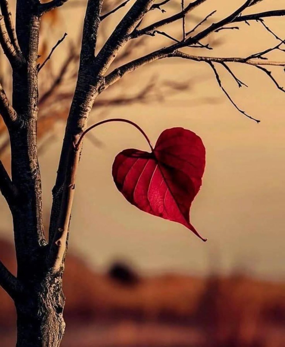 andy71soto's tweet photo. Y si un día me preguntan, qué es la vida, responderé que la vida es hermosa porque a pesar de las lágrimas, los malos momentos, los dolores y las decepciones, siempre te da la oportunidad de empezar de nuevo.... 😍😅🥰😅😍
#Disfruta
#Quierete
#YOLO https://t.co/1hogNe17i4