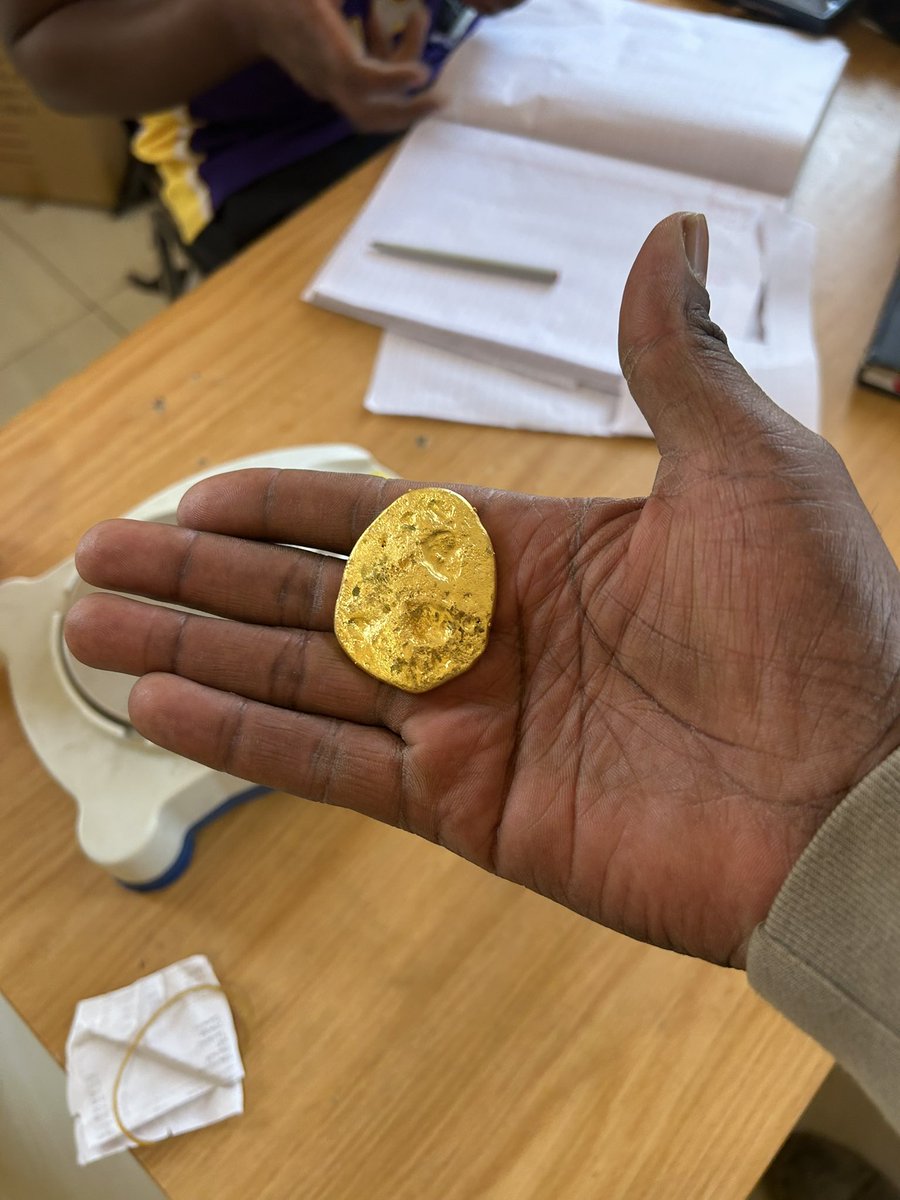 TendayiManyange's tweet photo. This is what has been happening to me during the last two weeks! A journey of many miles begins by taking a single step! Handei tione. #OurGold😂😂😂 @BTonhodzayi @Mavhure @cdesetfree @shackyworld @HonSakupwanyaK @chifarayi @RexMidzi @NtateRanaka @KMarazanye @BeautyZhuwao https://t.co/6lUoddutzt