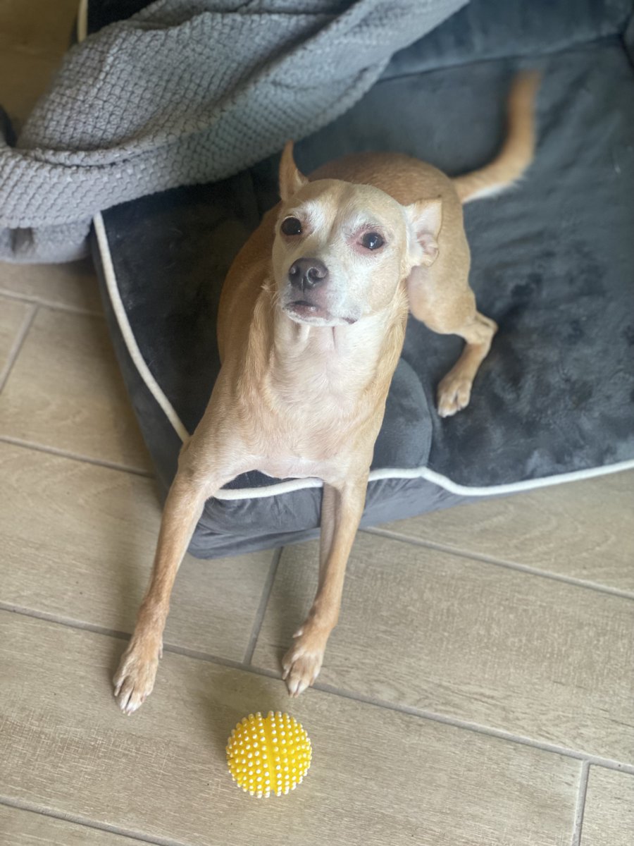 🦑Tainted Pact Games🦑 tweet media