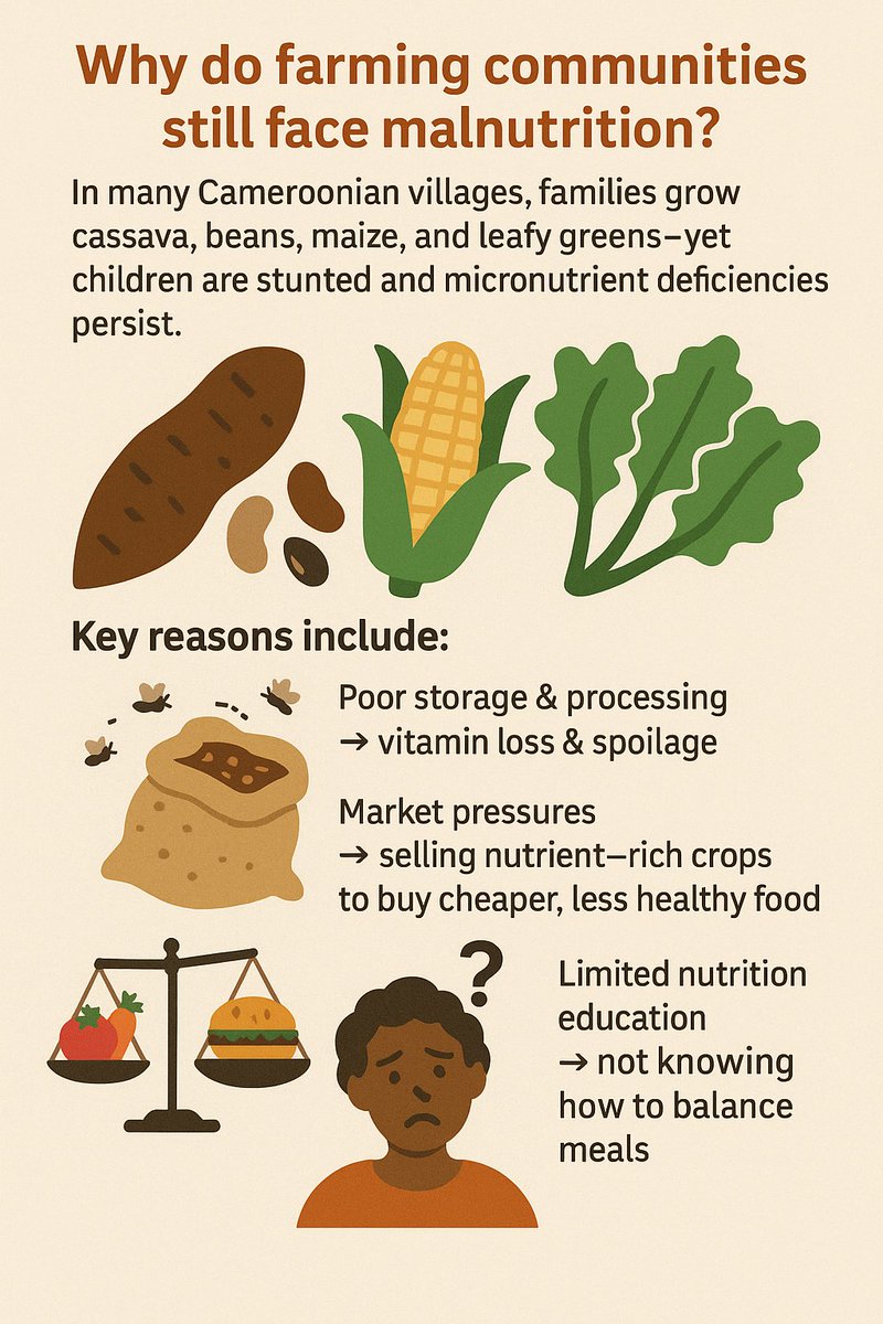Lizzy2N's tweet photo. 📌 Call to Action: Training on improved storage facilities, solar dryers, and meal planning can drastically cut nutrient loss and improve diets.

Have you seen innovative storage or food-processing methods in your area? Share them!

@WFP @unicefcameroon @FAO @asongwehuber
@UNGA https://t.co/udPJdE8o3O