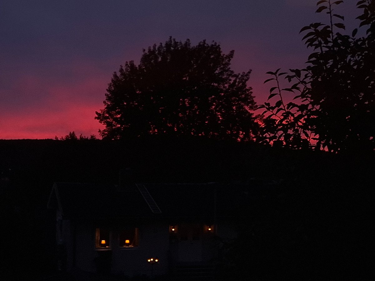 Fantafanta2010🇸🇪 tweet media