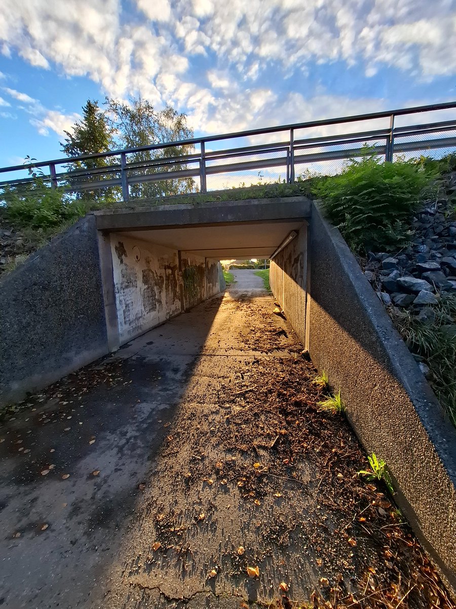 Fantafanta2010🇸🇪 tweet media