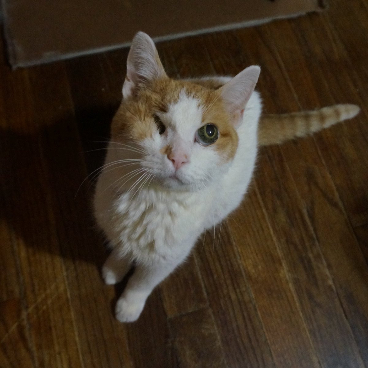 Mommy *Misses You* Wuzzie Wincess......
🌈🐈💞😞💔