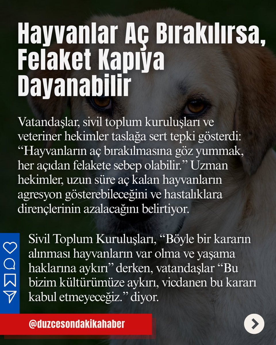 Dayanışma Hayvan Hakları Federasyonu tweet media