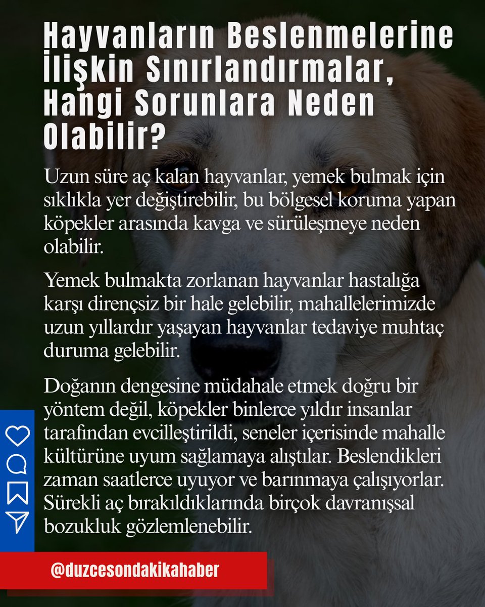 Dayanışma Hayvan Hakları Federasyonu tweet media
