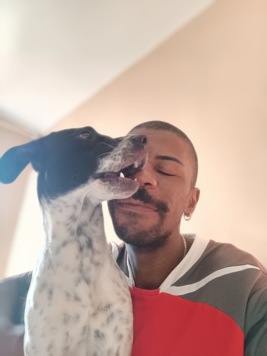 PatrikIzaias's tweet photo. Meu melhor amigo 🐶 https://t.co/qwWQsSQpdb