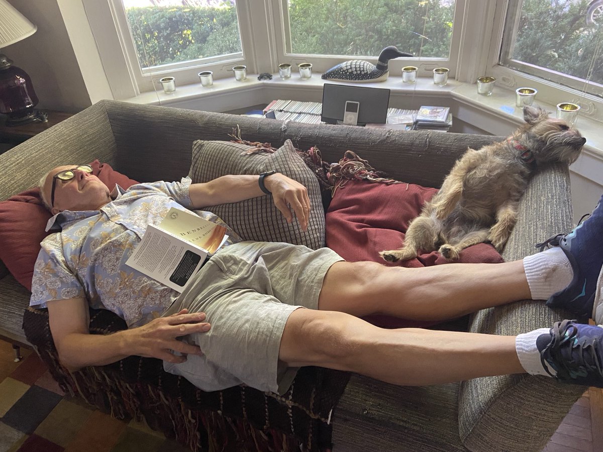 Who said owners and pets start to look alike?