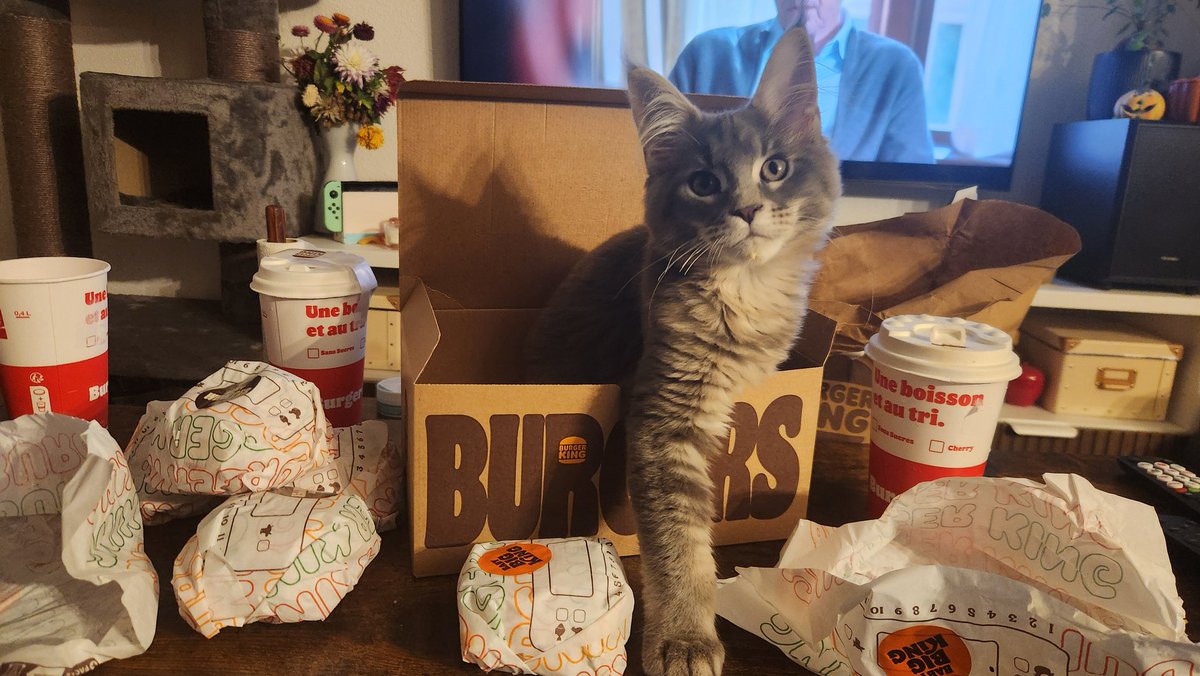 PetiteCleaMae's tweet photo. @BurgerKingFR y en a un qui veut être sponso je crois https://t.co/JDbpQyCQKE